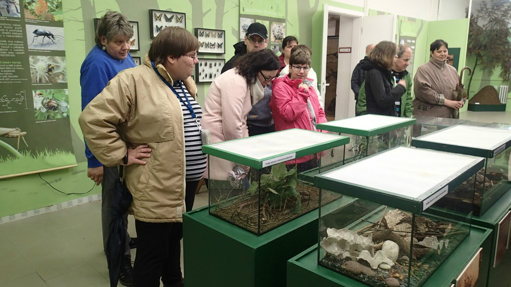 Ornis-výstava hmyzu 10-2018