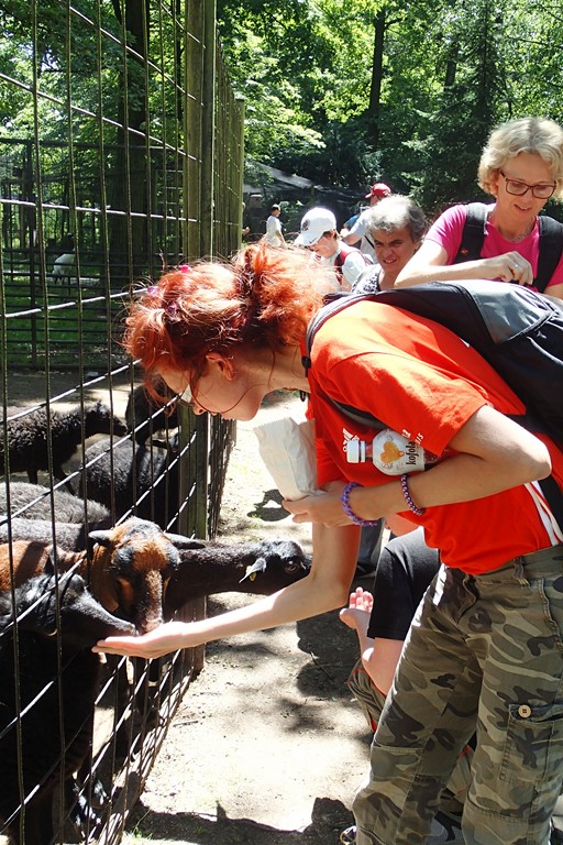 spolusetkavani zoo 3